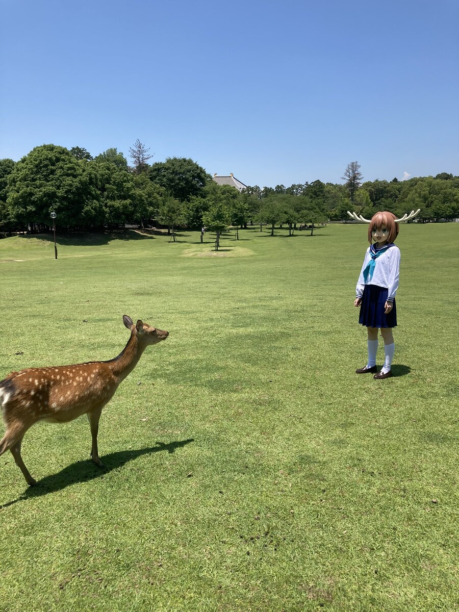 사슴아이) 공식 인형탈을 본 진짜 사슴의 반응_1.jpg