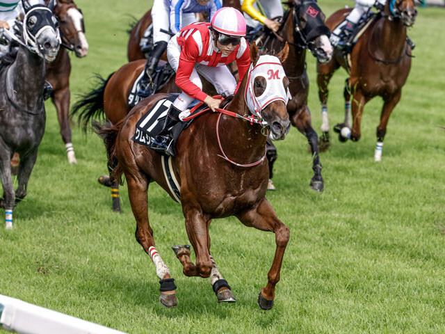 말딸?) 한국이름 말이 이나즈마 스테이크스 우승_2.jpg