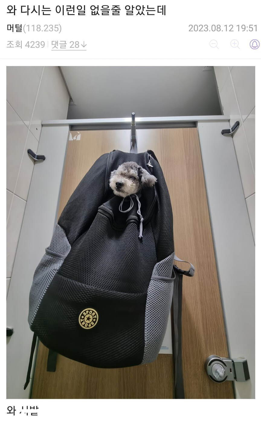 댕댕이랑 산책중 화장실이 급했던 견주_2.jpg
