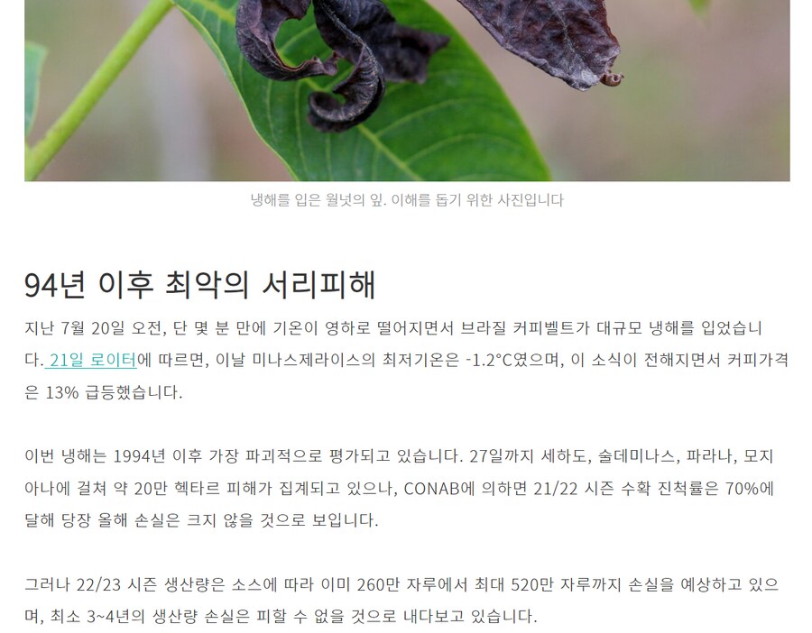 각색 좀 넣어서 만든 이상기후로 인한 브라질 커피 시장 근황_14.png