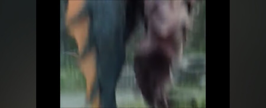 전대물)여성멤버가 괴수를 유인한 방법_21.jpg