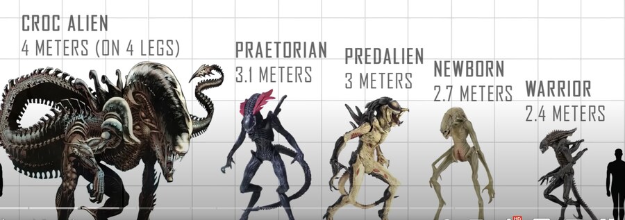 에일리언]계의 숫사자 같은 존재_1.png