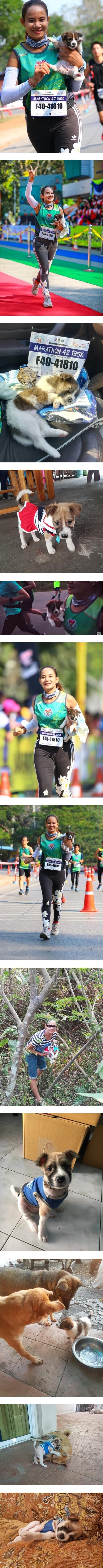 마라톤 도중 길가에 버려진 강아지를 발견한 태국 선수_2.jpg