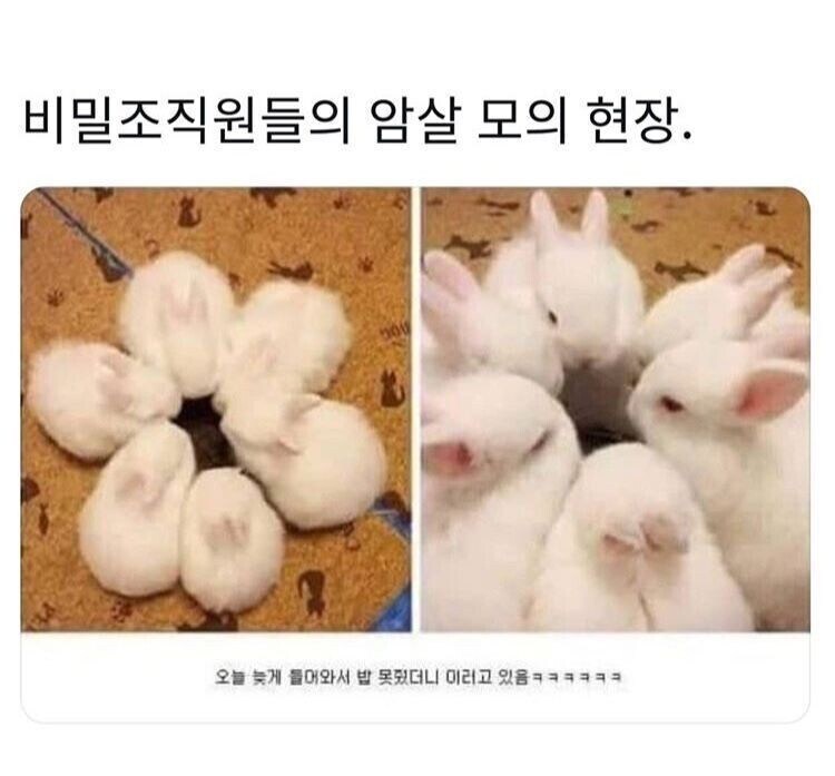 야 나 베스트 가고싶어_3.jpg
