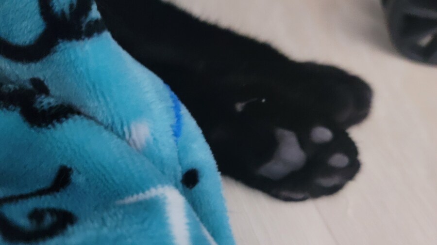 야 나 베스트 가고싶어_8.jpg