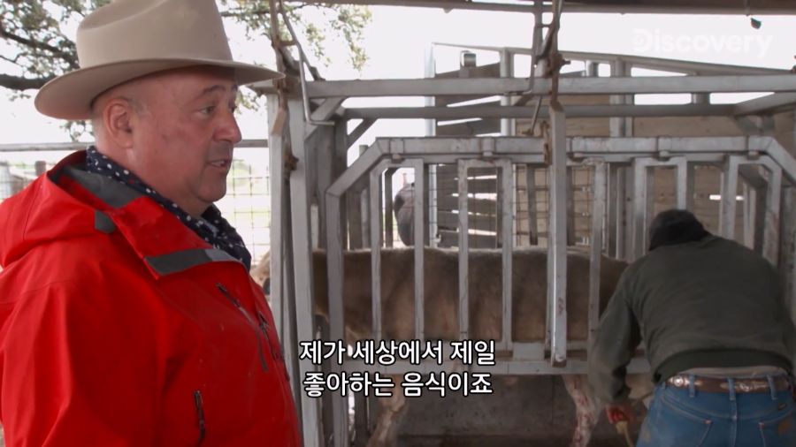 부랄튀김, 텍사스판 뒷고기_1.jpg