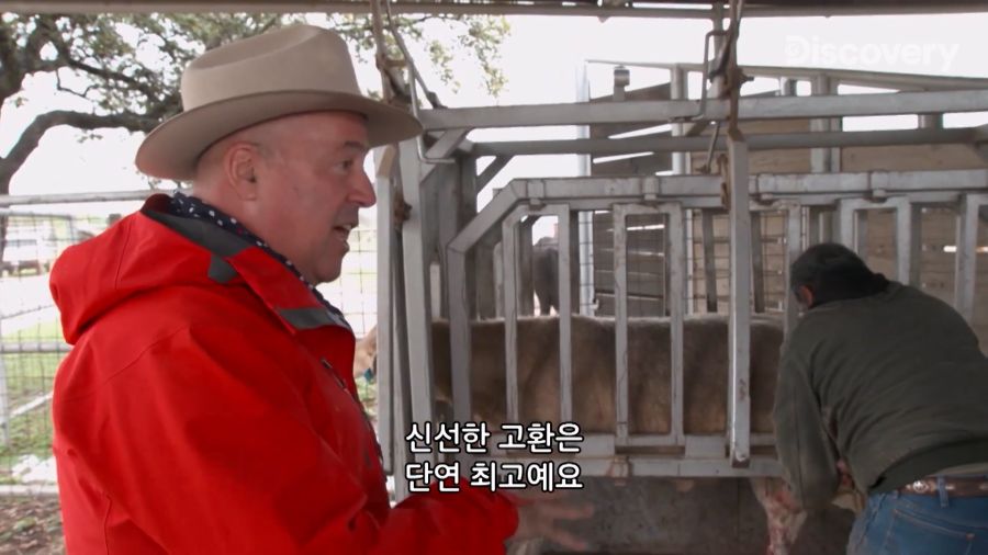 부랄튀김, 텍사스판 뒷고기_2.jpg