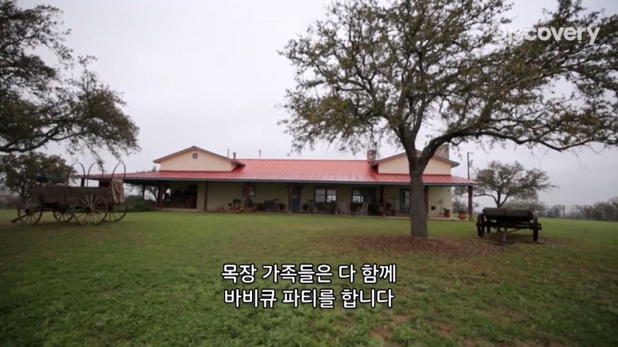 부랄튀김, 텍사스판 뒷고기_9.jpg