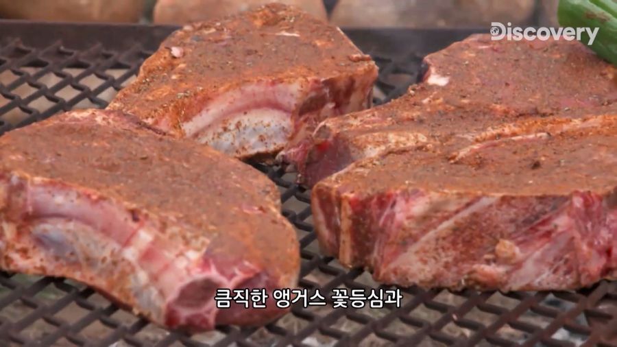 부랄튀김, 텍사스판 뒷고기_10.jpg