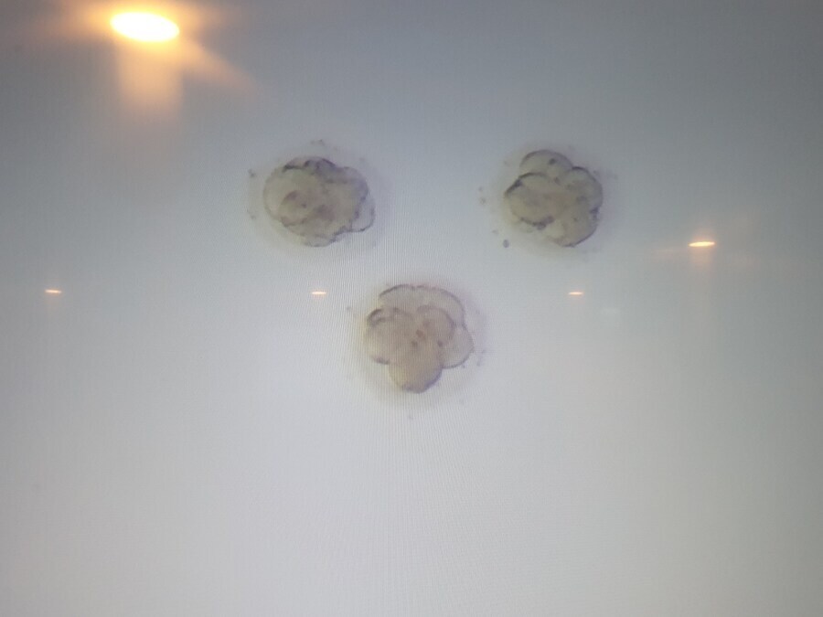 한달 전에 부인 임신시킨 유게이임_1.jpg