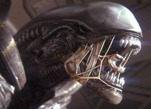 에일리언)작중 진짜 무서운 생명체_1.jpg