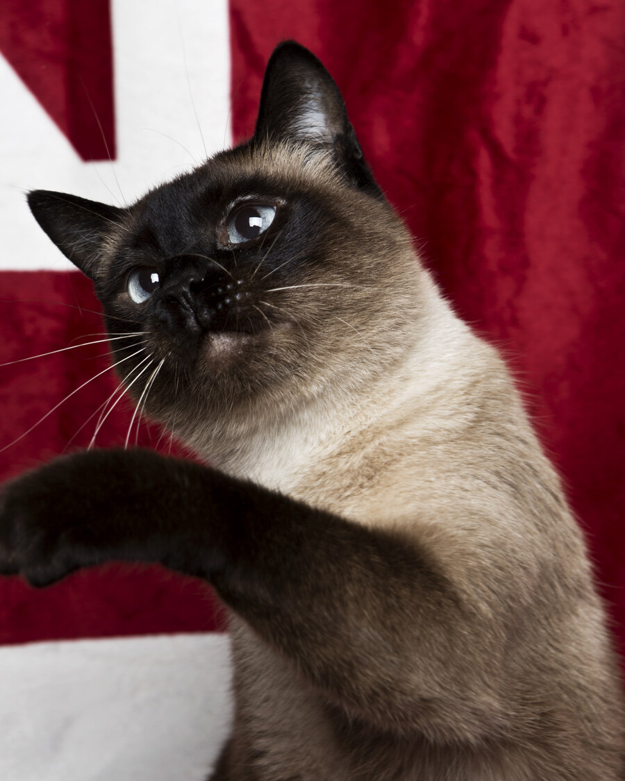 샤인이 보고가세요2_3.jpg