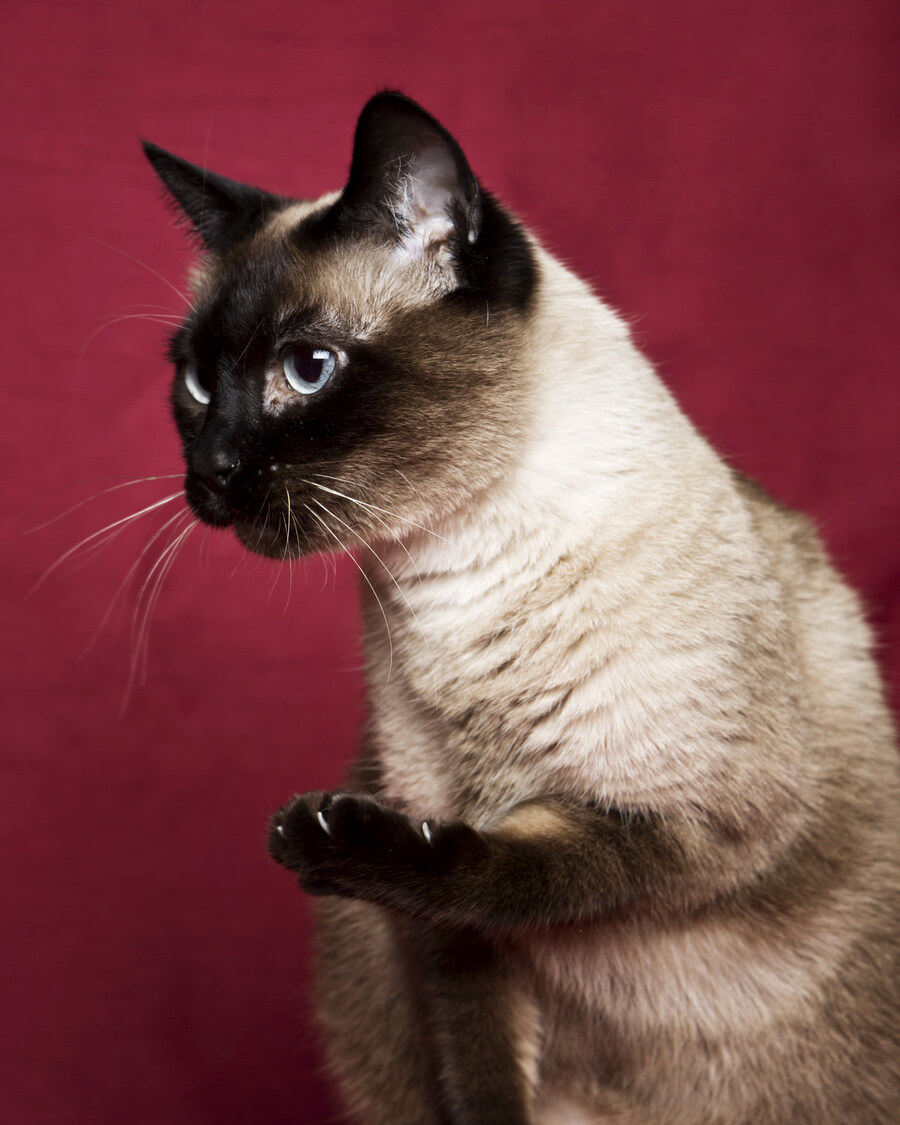 샤인이 보고가세요2_8.jpg