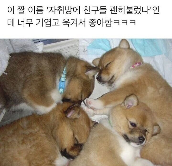 '자취방에 친구들 괜히 불렀나⋯'.jpg_1.jpg