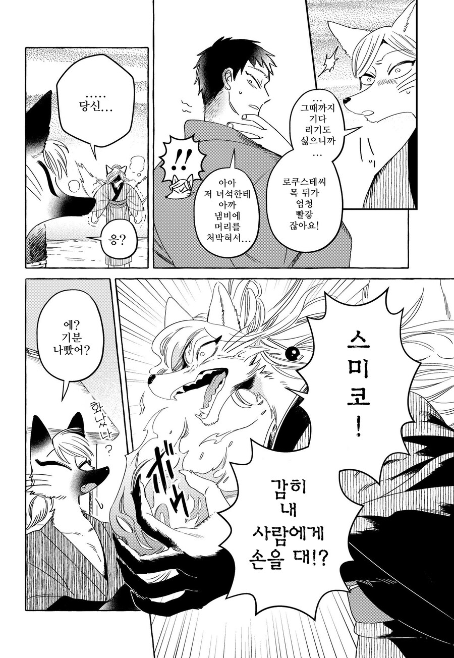 여우아내랑 꽁냥거리는 만화_3.jpg