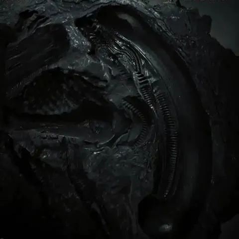 에일리언)로뮬루스가 확실히 증명한건_1.webp