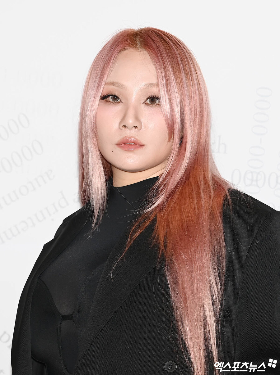씨엘아이피 이미지