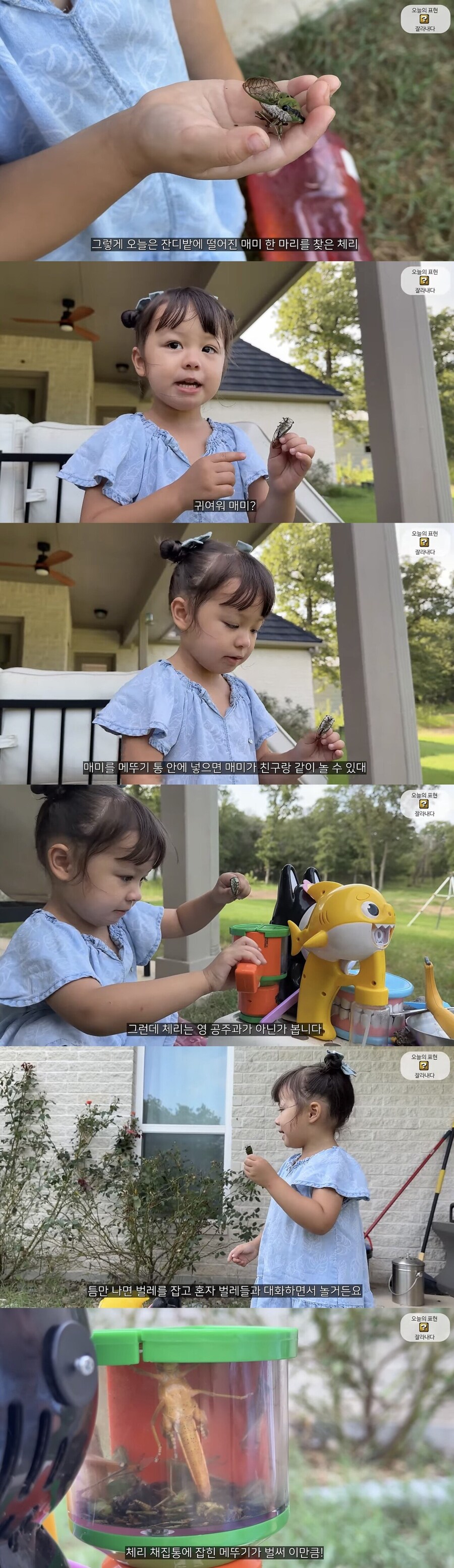 시골 사는 올리버쌤 딸 체리(3살) 취미_1.jpg