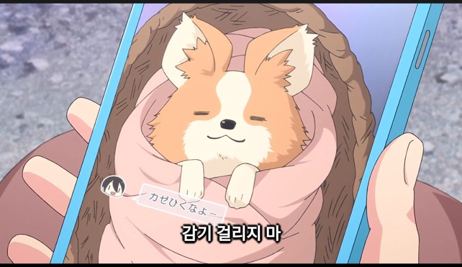 유루캠) 치쿠와는 훈련 잘 된 경우인듯_1.jpg