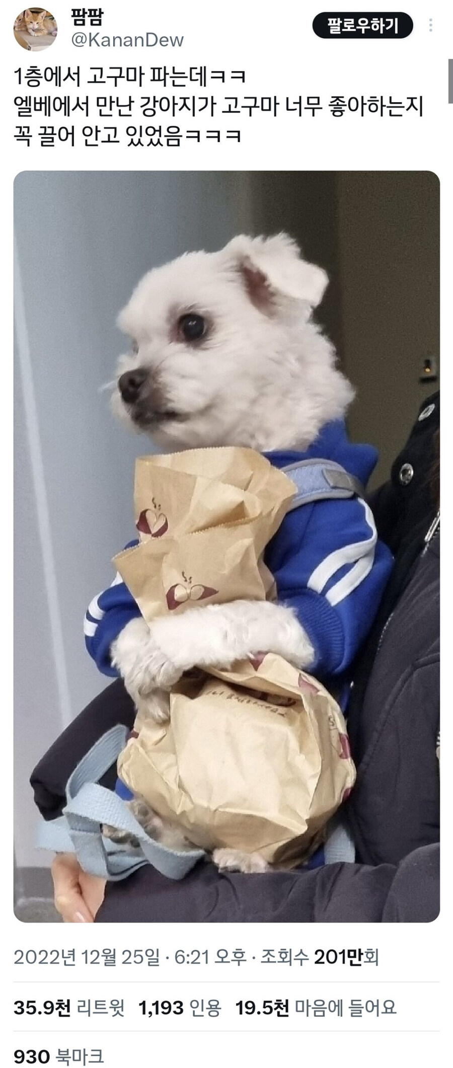 도대체 댕댕이에게 고구마는 뭘까.jpg_1.jpg