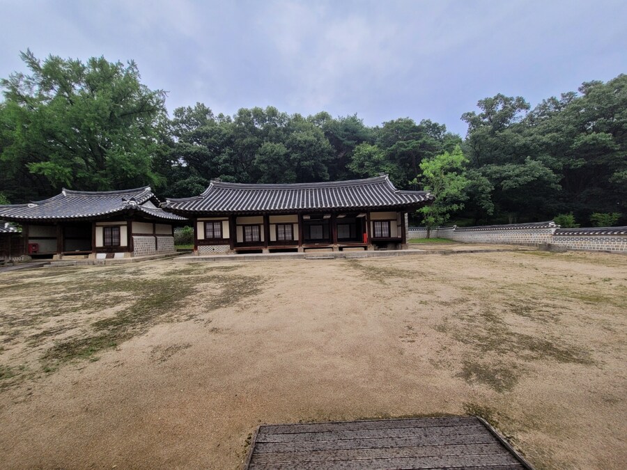 #구리시 동구릉_12.jpg