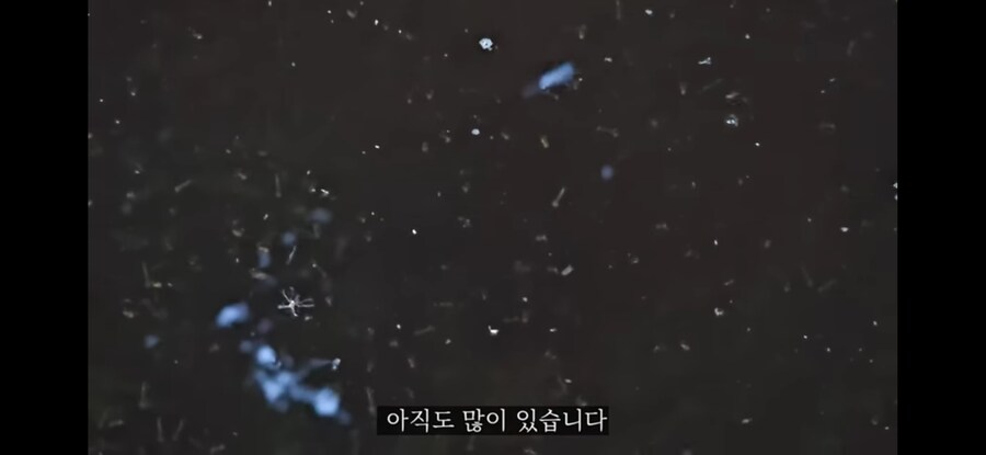 모기 서식지에 미꾸라지 풀면 생기는 일.gif_7.jpg