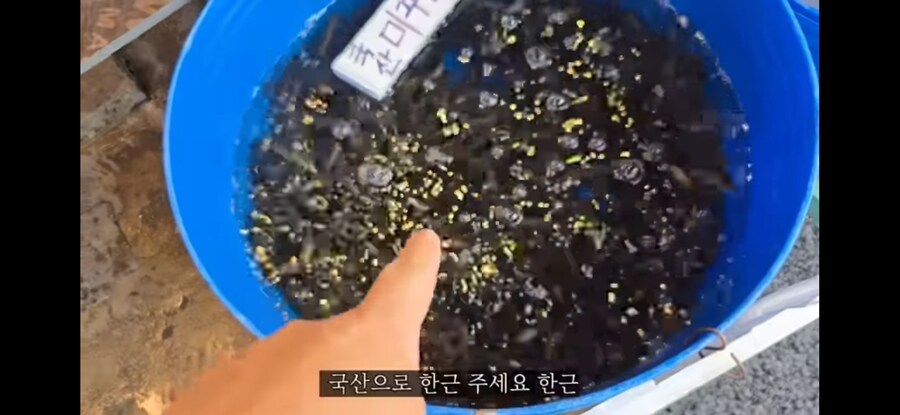 모기 서식지에 미꾸라지 풀면 생기는 일.gif_10.jpg