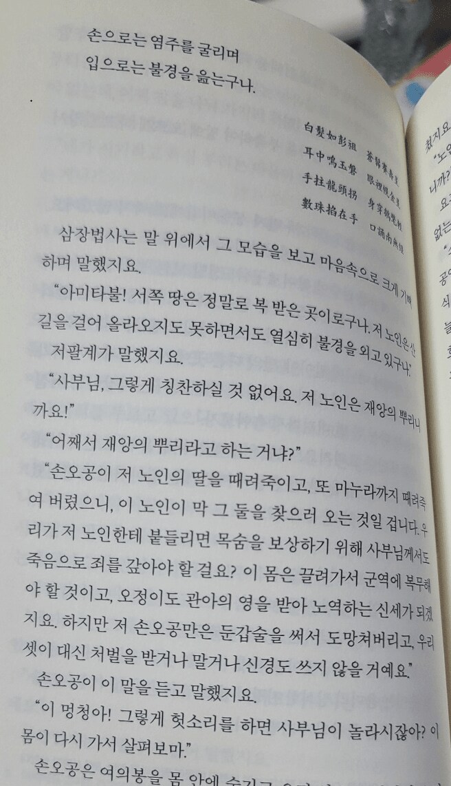 서유기 원작 소설 대체적인 분위기 (혈압주의)_22.png