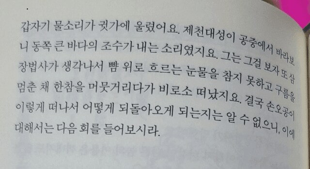 서유기 원작 소설 대체적인 분위기 (혈압주의)_27.png