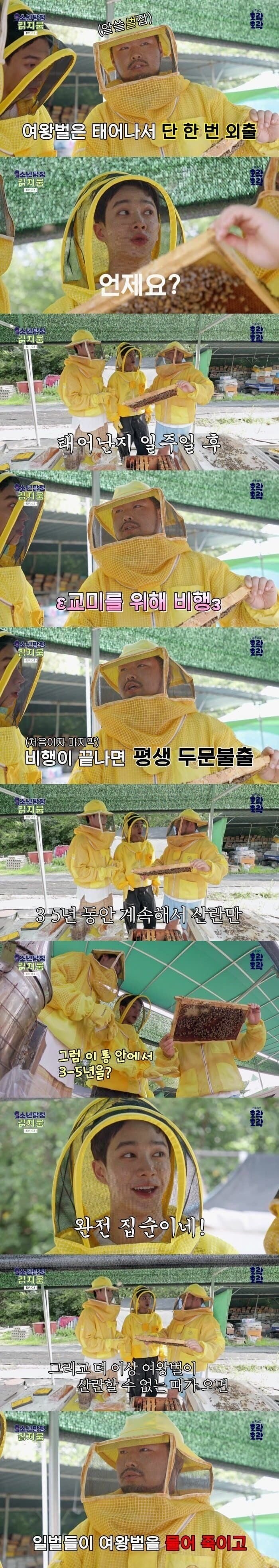 여왕벌이 실제로는 노예일 수 있다는 근거.jpg_1.jpg