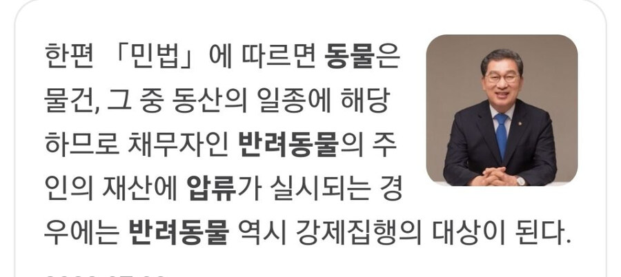 압류당할 때 반려동물은 어떻게 될까?_2.jpg