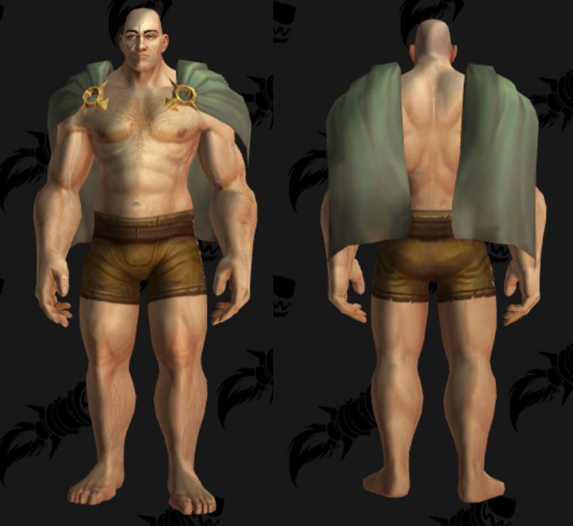 와우 9월의 교역소 아이템 중 공홈에 안올라온 템의 착용 모습_16.png