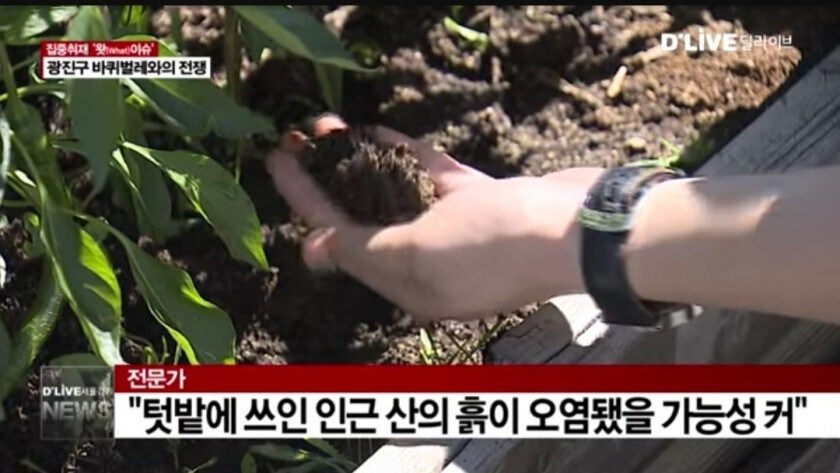 제발 흙은 사서 쓰세요..._2.jpg