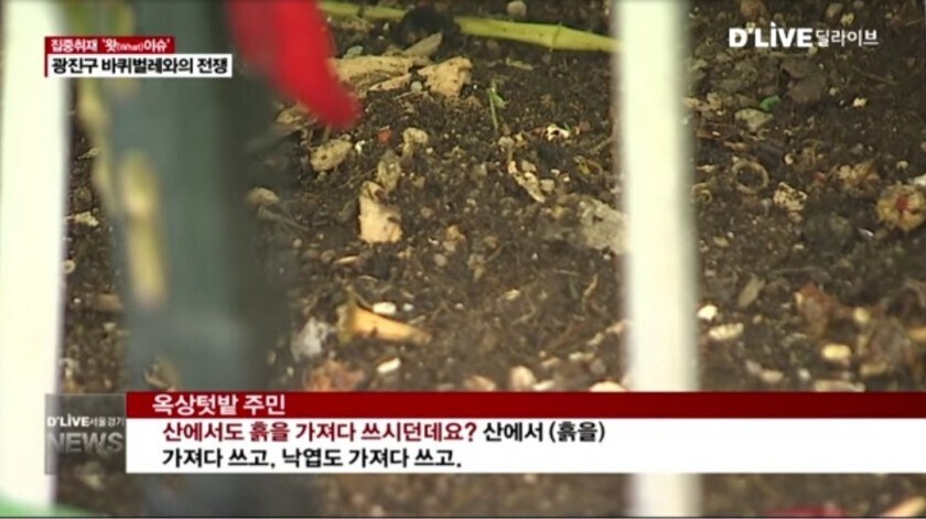 제발 흙은 사서 쓰세요..._3.jpg