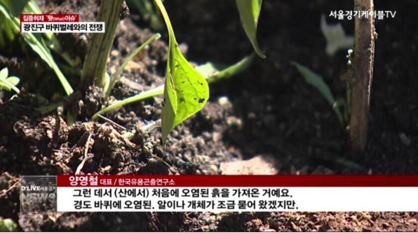 제발 흙은 사서 쓰세요..._4.jpg