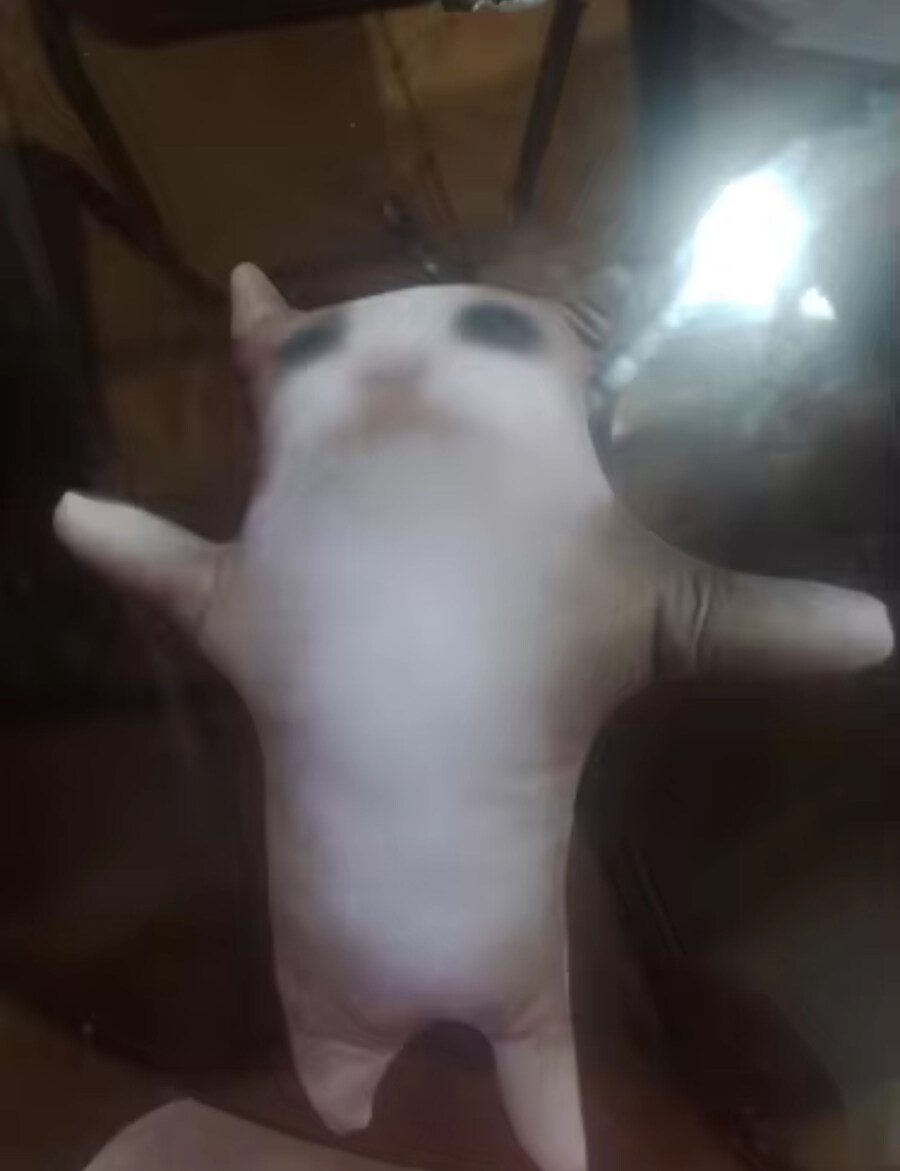 그래픽 버그난거같은 인형_2.jpg