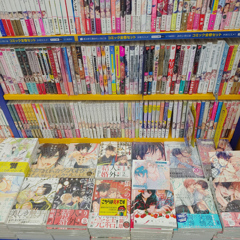 차근차근 일본 출판계에 진출하고 있는 한류_2.jpg