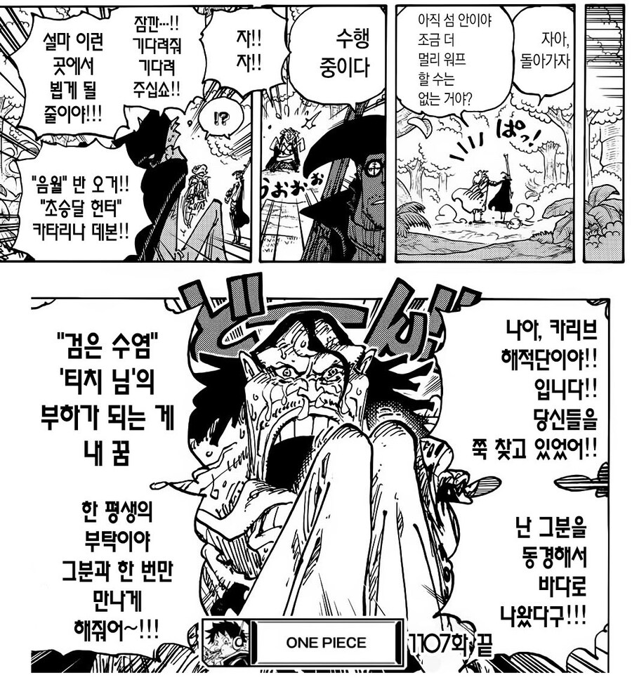 [수정본 1] 원피스 니카와 검은 수염의 정체_67.jpg