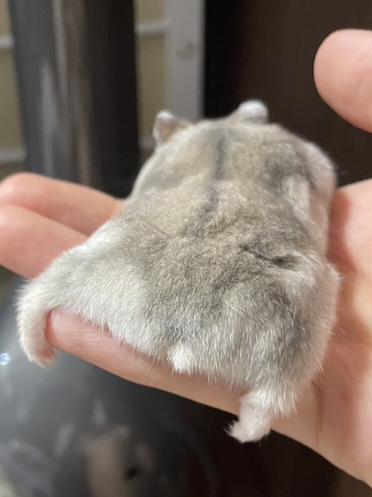 오늘 득템한 엉덩이짤.jpg_1.jpg