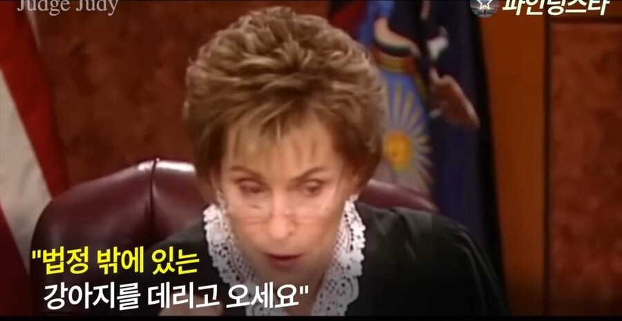 강아지 소유권 분쟁으로 미국 법정 리얼리티쇼에 출연한 사람들.GIF_17.jpg