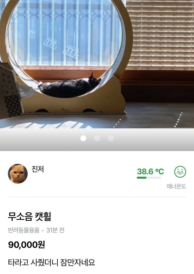 용도변경한 고양이.jpg_1.jpg