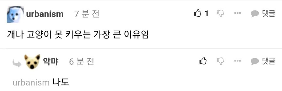 ???:집사야, 여기 있던거 어디갔냥...?_3.jpg