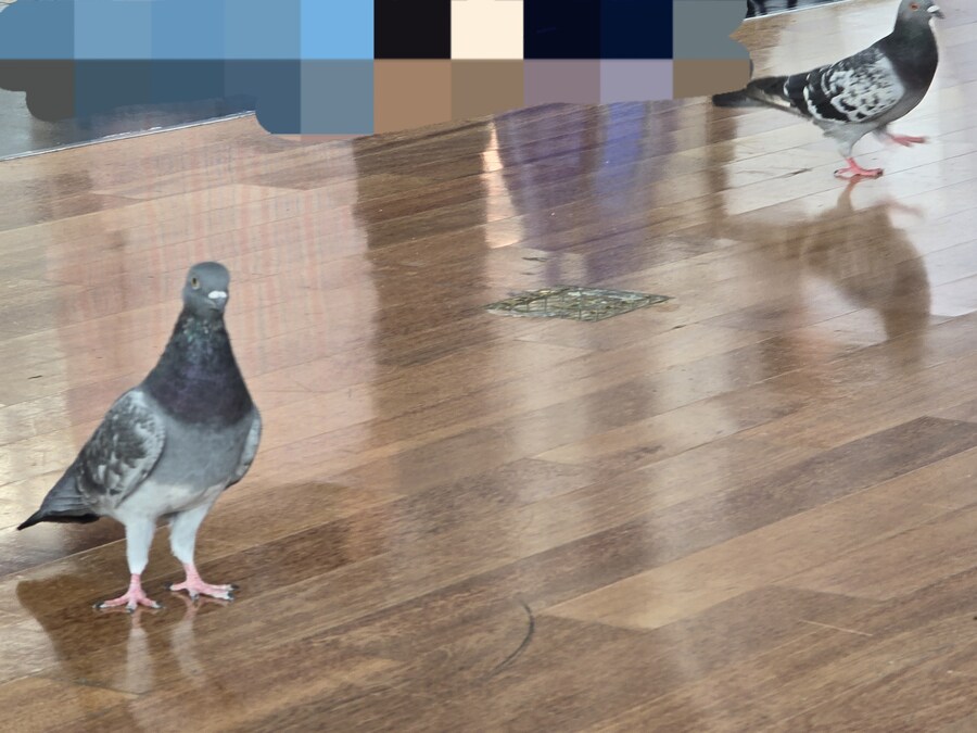 이새끼들 뭐임?_1.jpg