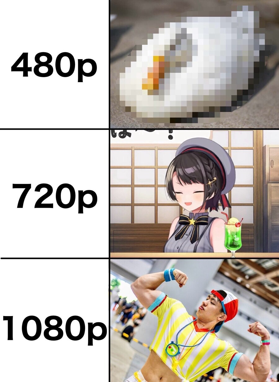 화질별 잘생긴 오리_1.jpg