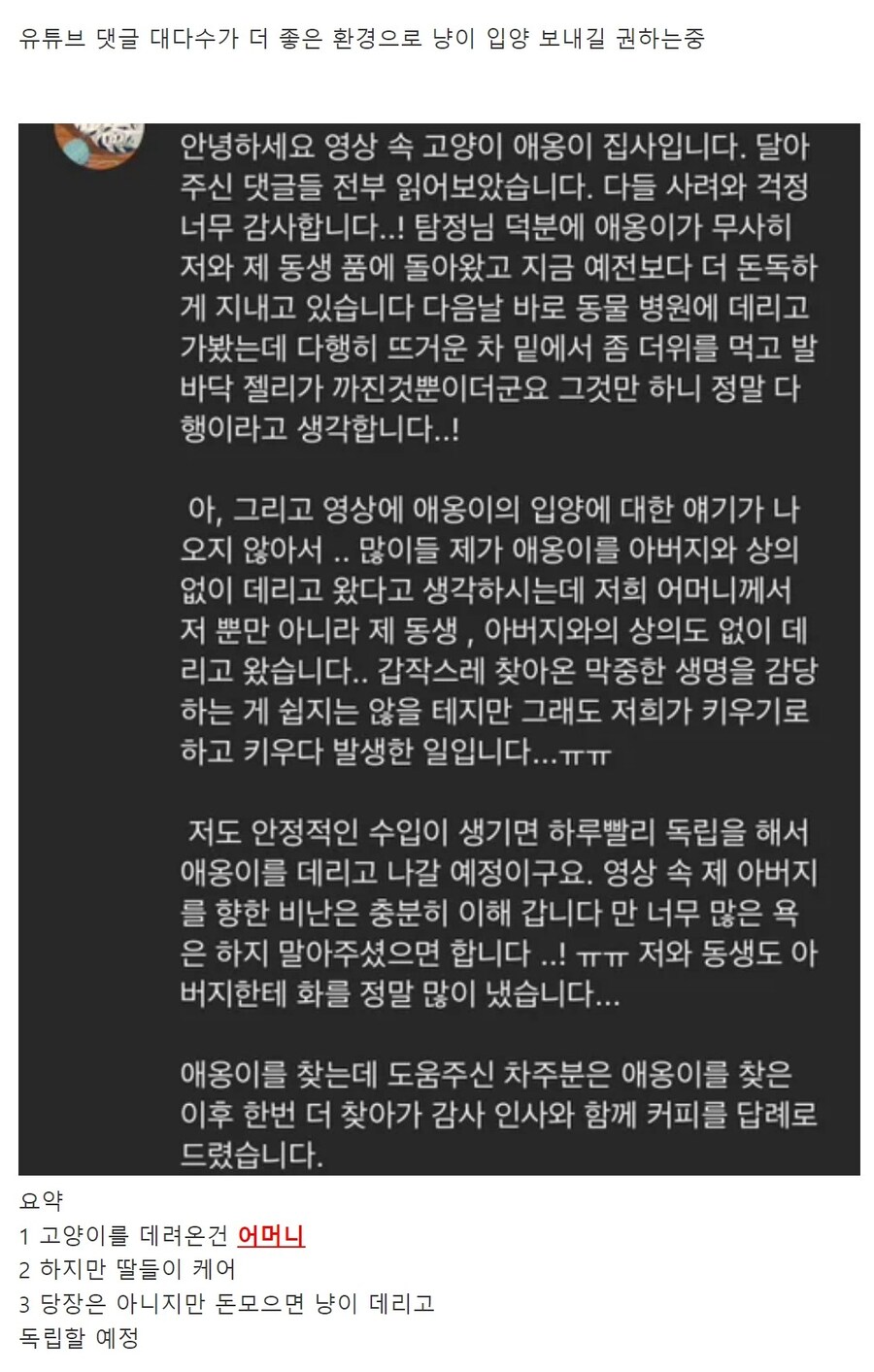 가족동의 없이 고양이를 버린 아빠._4.jpg