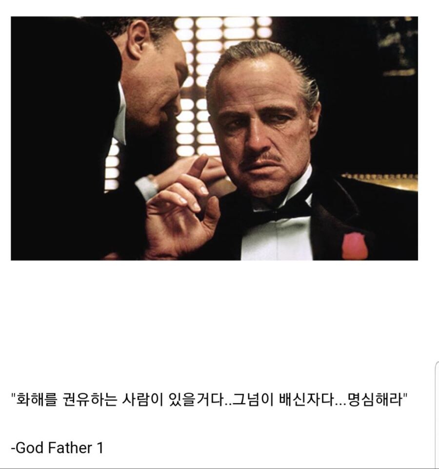 인터넷에서 볼 때마다 킹받는 대부 짤_1.jpg
