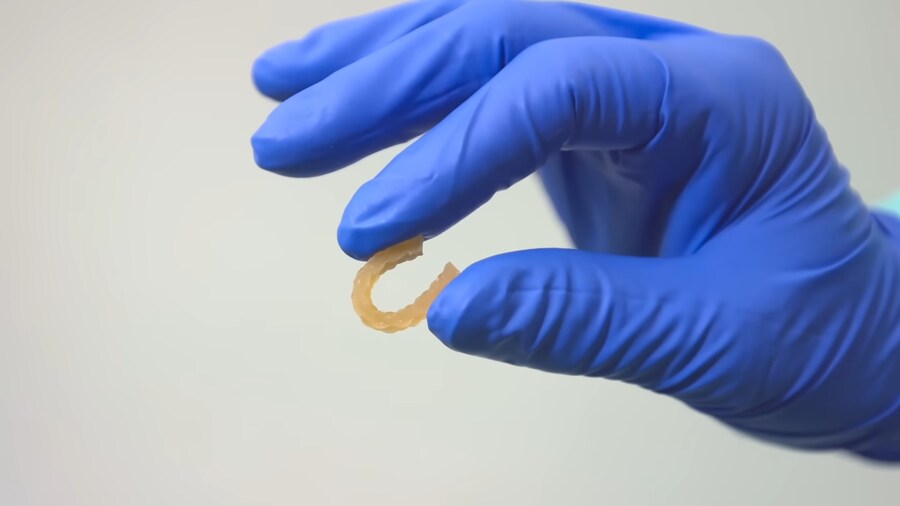 새우깡이 만들어지는 과정.jpg_9.png