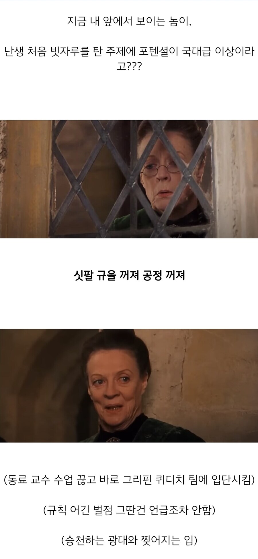해리포터) 엄격하고 공정하신 맥고나걸 교수님_2.jpg
