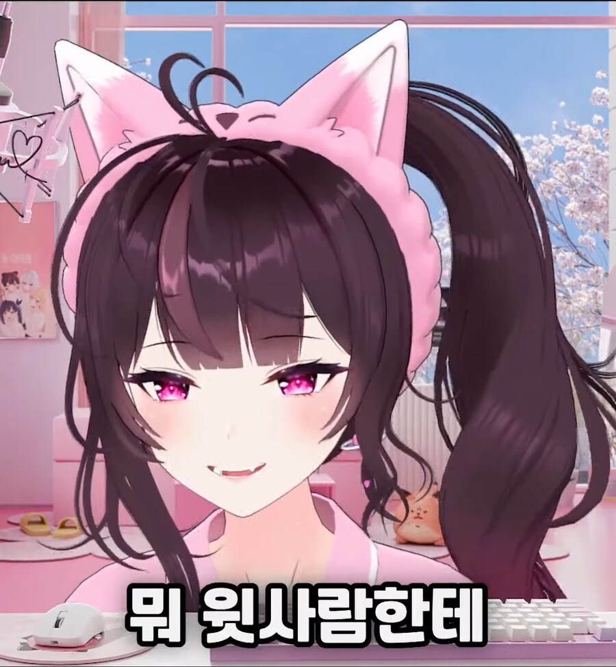 버튜버) 수행능력에 따라 달라지는 호불호_3.png