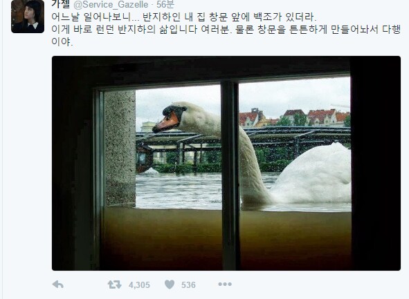 런던 반지하의 삶_1.png